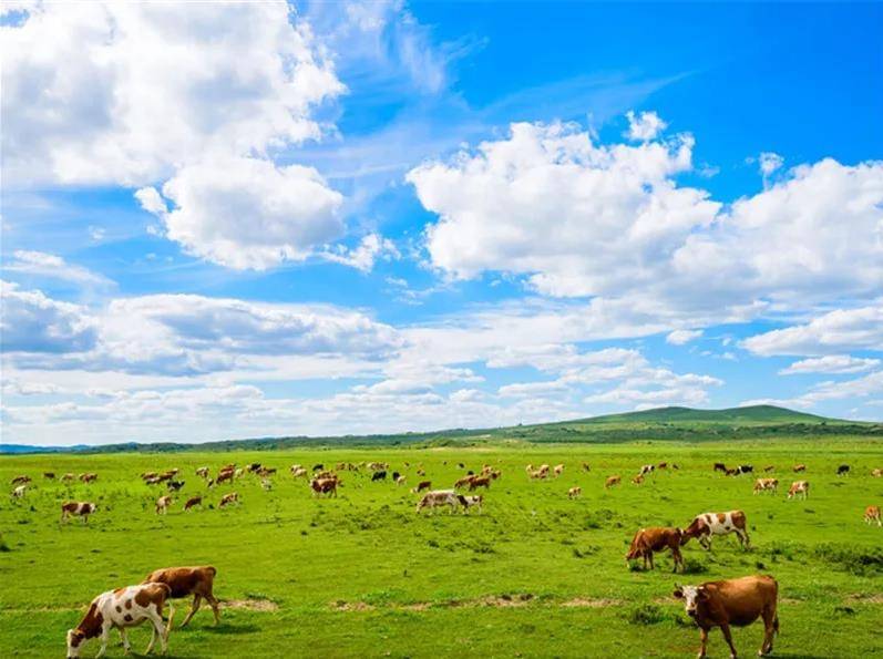 内蒙古，领导关怀下的温馨聚会