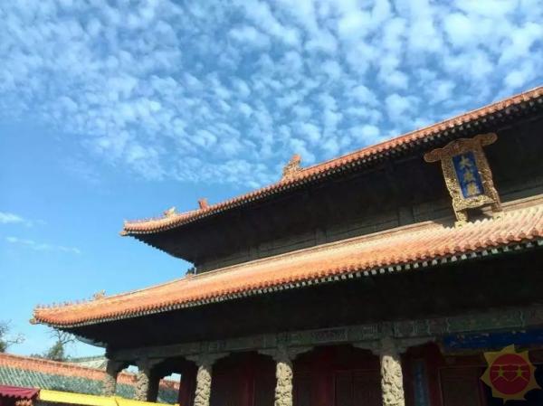 山东盛邀嘉宾与观众共襄盛举