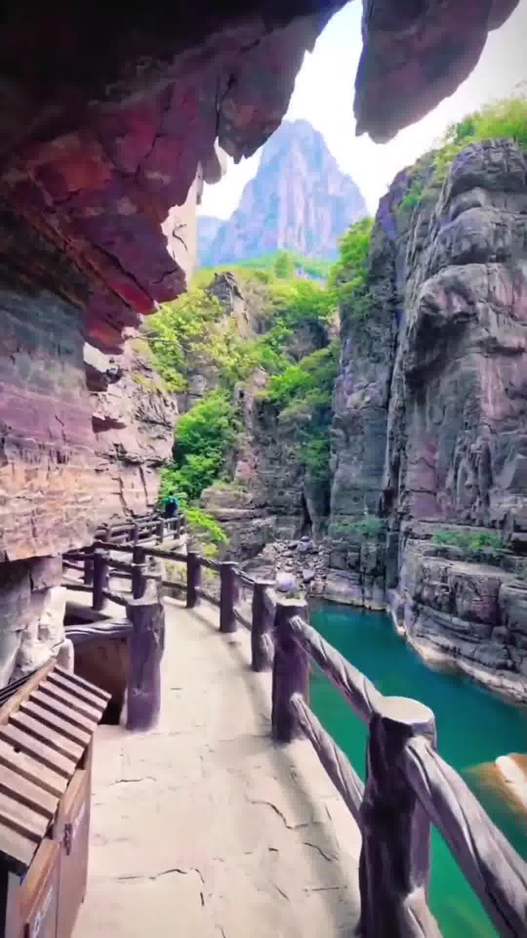 河南,致敬领导与朋友们的尊贵聚会