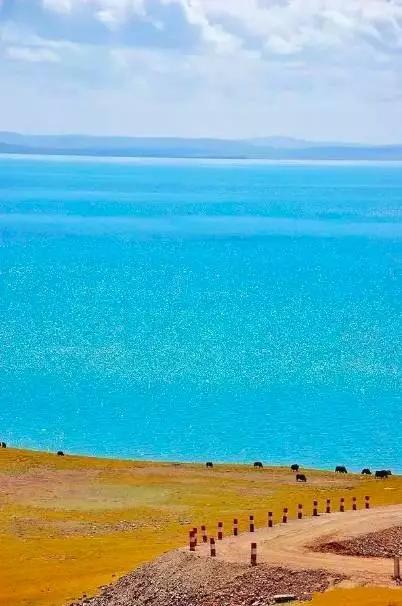 青海,多元文化与自然遗产交织的绚丽画卷