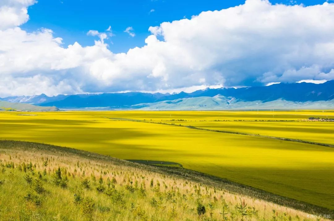 青海智韵,未来生活新起点